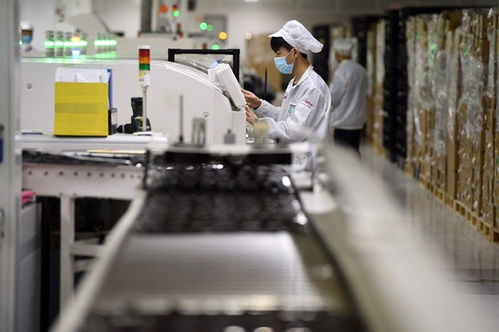 自貿(mào)試驗(yàn)區(qū)助力中國(guó)高水平對(duì)外開放