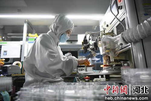 河北廊坊 優(yōu)化營(yíng)商生態(tài)圈促進(jìn)電子信息產(chǎn)業(yè)高地加速崛起