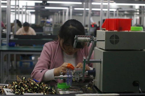 王宏兵赴武功縣調研督導“止滑促升、決戰收官”工作 助力電子材料生產發展